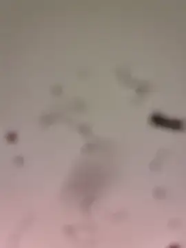 M8ygcthf3 online show from 03/22/26, 06:50