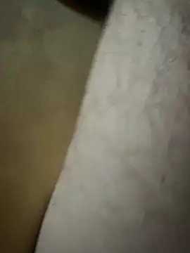 Snapshot of Lilalache chatting on 12/14/25, 01:27 Lilalache online show from 12/14/25, 01:27