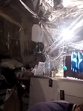 Snapshot of Quebec46 chatting on 04/14/26, 09:37 Quebec46 online show from 04/14/26, 09:37