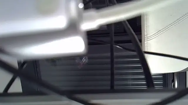 Snapshot of Zetros_15 chatting on 03/31/26, 07:47 Zetros 15 online show from 03/31/26, 07:47