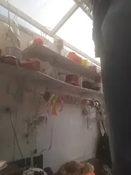 Snapshot of Almeyjose chatting on 12/15/25, 05:50 Almeyjose online show from 12/15/25, 05:50