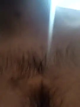 bnglrboy0886 online show from 02/07/26, 12:14