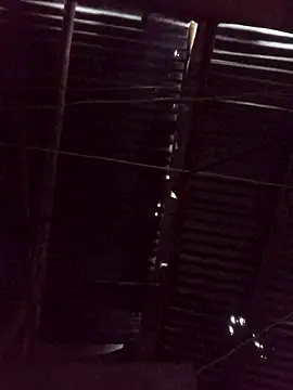 Snapshot of Ardo1899 chatting on 02/17/26, 11:40 Ardo1899 online show from 02/17/26, 11:40