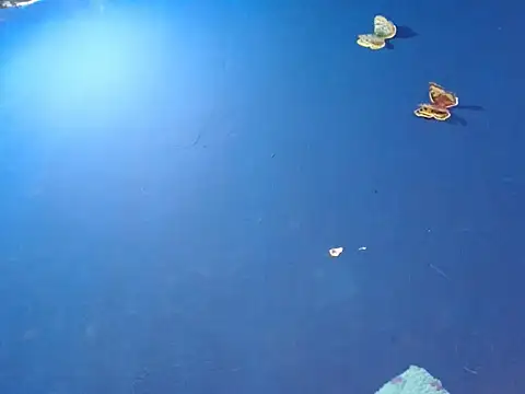 sk8-boy online show from 12/18/25, 01:39