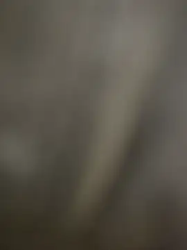 Snapshot of Sammyboii006 chatting on 12/16/25, 06:13 Sammyboii006 online show from 12/16/25, 06:13