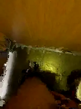 Snapshot of Thilandex chatting on 12/19/25, 01:56 Thilandex online show from 12/19/25, 01:56