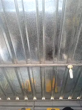 biggy mash online show from 12/17/25, 10:32