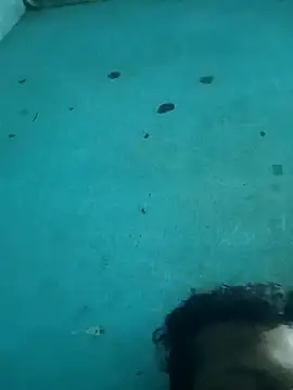 Snapshot of tamilansinsforu chatting on 04/30/26, 02:56 tamilansinsforu online show from 04/30/26, 02:56