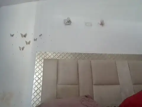 danylush online show from 02/14/26, 08:27