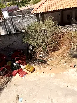 Snapshot of _-_-_bucetuda____ chatting on 12/18/25, 03:40 - - bucetuda online show from 12/18/25, 03:40