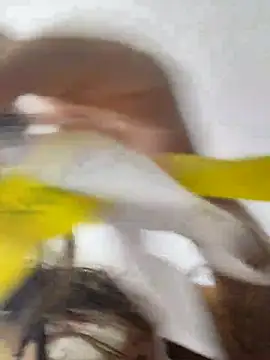 Snapshot of jinx_candy chatting on 02/01/26, 04:33 jinx candy online show from 02/01/26, 04:33