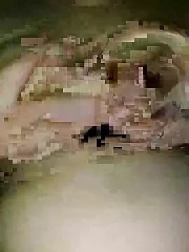 Snapshot of Lobna-66 chatting on 04/07/26, 12:11 Lobna-66 online show from 04/07/26, 12:11