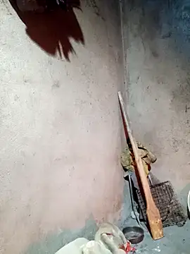 yula-bi online show from 02/24/26, 12:14