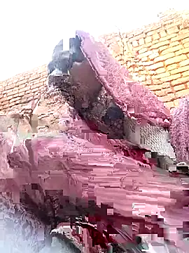 Rakhi cut online show from 01/13/26, 02:39