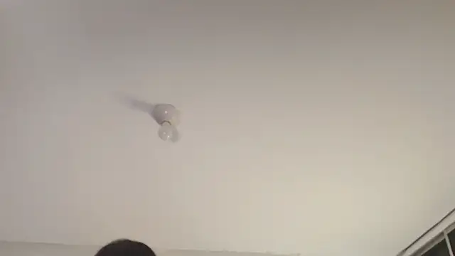 Snapshot of Sofii_unicorn chatting on 03/13/26, 01:40 Sofii unicorn online show from 03/13/26, 01:40