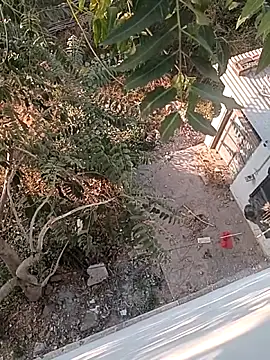 Snapshot of Prem_Ran chatting on 12/22/25, 03:25 Prem Ran online show from 12/22/25, 03:25