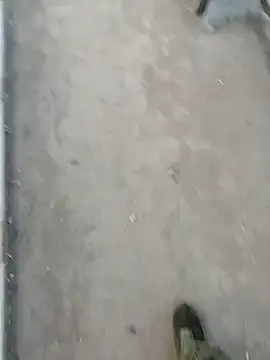 Tata and Joker online show from 03/24/26, 03:28