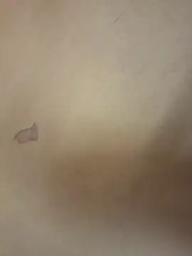 yourburget online show from 02/19/26, 02:24