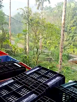 ancyauhuss online show from 12/22/25, 03:14