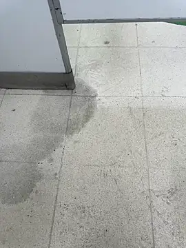 Latin Paisa Boy online show from 04/09/26, 05:18