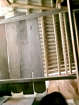 DIANAKUTE online show from 03/08/26, 03:32