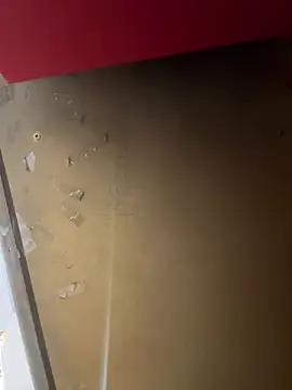 Snapshot of lele202526 chatting on 04/01/26, 07:00 lele202526 online show from 04/01/26, 07:00