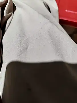 Snapshot of PRAPTITELUGU chatting on 04/01/26, 03:20 PRAPTITELUGU online show from 04/01/26, 03:20