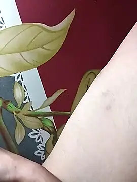 huuluat2 online show from 01/17/26, 11:41