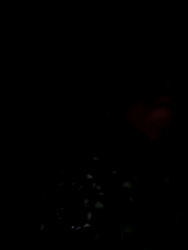 lodhi8080 online show from 03/09/26, 07:07