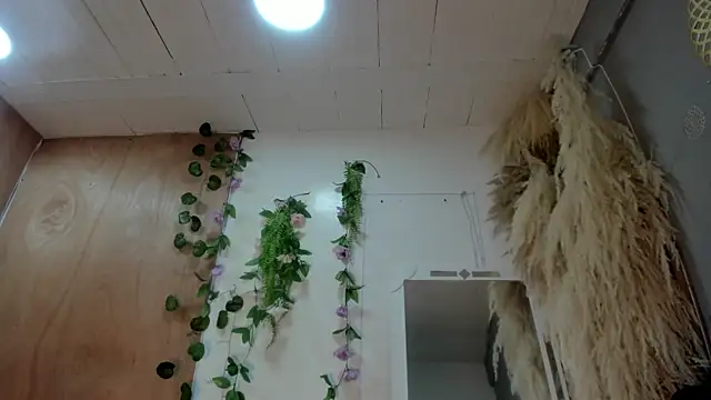 Alice randyy online show from 02/10/26, 01:04