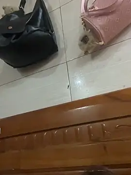 Liness101 online show from 02/04/26, 12:05