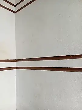 Snapshot of xiaogoal chatting on 03/26/26, 01:33 xiaogoal online show from 03/26/26, 01:33