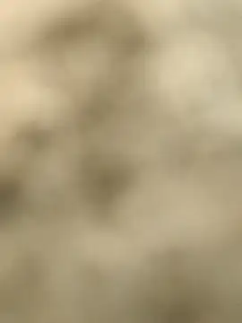 Snapshot of Pagelboy_089 chatting on 02/15/26, 09:30 Pagelboy 089 online show from 02/15/26, 09:30