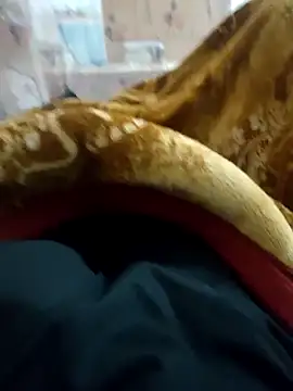 Snapshot of Pagelboy_089 chatting on 02/17/26, 06:47 Pagelboy 089 online show from 02/17/26, 06:47