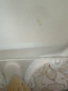 Snapshot of Pagelboy_089 chatting on 02/19/26, 08:43 Pagelboy 089 online show from 02/19/26, 08:43