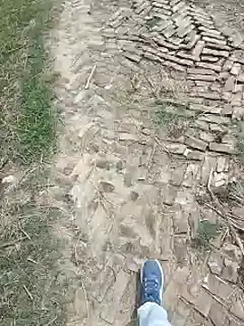 Snapshot of Pagelboy_089 chatting on 03/27/26, 08:20 Pagelboy 089 online show from 03/27/26, 08:20