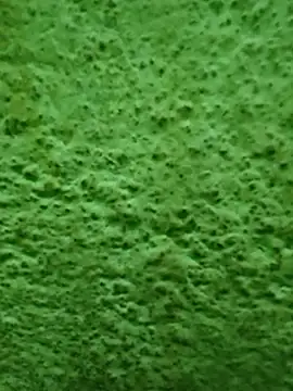 Snapshot of Pagelboy_089 chatting on 04/08/26, 11:59 Pagelboy 089 online show from 04/08/26, 11:59