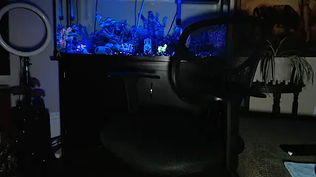 EspanolVato online show from 02/19/26, 10:55