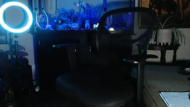 EspanolVato online show from 02/21/26, 09:43