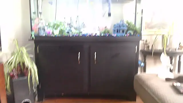 EspanolVato online show from 04/15/26, 07:58