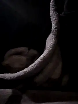 YoungAsainWithATrunk online show from 01/19/26, 12:09