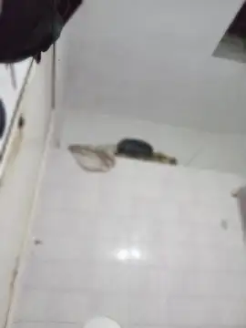 Snapshot of darkgodessone chatting on 04/04/26, 11:35 darkgodessone online show from 04/04/26, 11:35