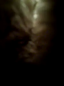 Frankyboy335 online show from 07/05/26, 11:17