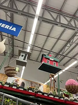 dani bela online show from 03/22/26, 10:46