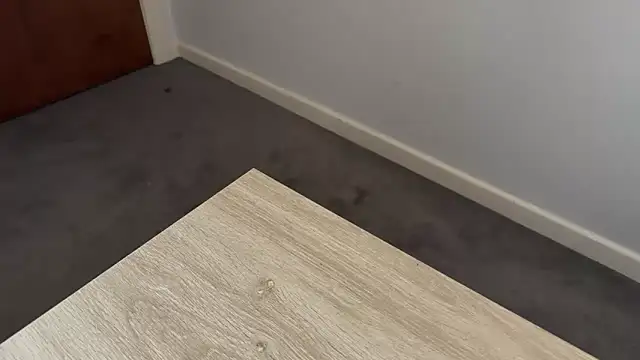 Snapshot of adelaide2026 chatting on 04/02/26, 03:37 adelaide2026 online show from 04/02/26, 03:37