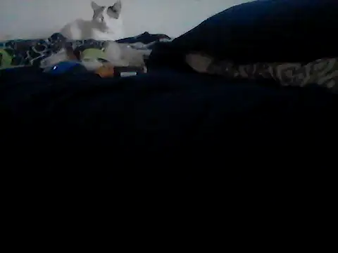 Silencio26 online show from 02/24/26, 09:24