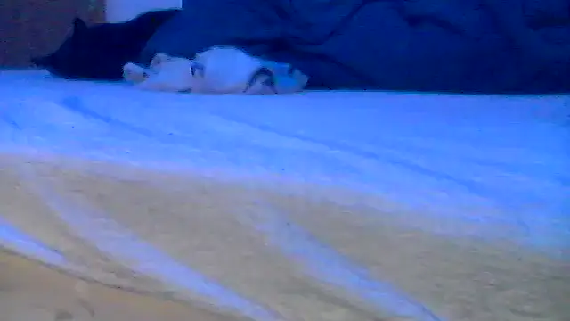 Snapshot of Silencio26 chatting on 04/19/26, 08:02 Silencio26 online show from 04/19/26, 08:02