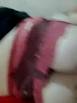 safadinha24h online show from 01/07/26, 08:11