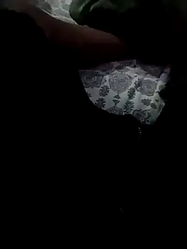 Snapshot of Fibhr56 chatting on 03/04/26, 01:33 Fibhr56 online show from 03/04/26, 01:33