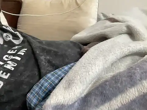 mdlaif1111 online show from 02/10/26, 01:43